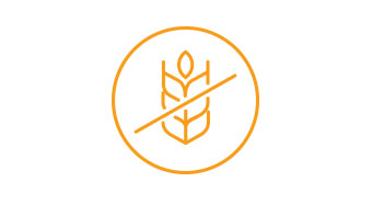 FENIX-GX-Landing-Page_eng-(1)_29